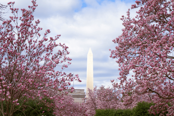 Visting Washington, DC for a long weekend? Read The DC Darlings 3-Day Travel Guide for the hottest restaurants, attractions, and neighborhoods in the city.